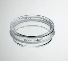 德國(guó)艾本德(Eppendorf)Cell Culture Dishes, 35 mm, 無(wú)菌、無(wú)熱原，無(wú)RNase和DNase，無(wú)人類(lèi)和細(xì)菌DNA。無(wú)細(xì)胞毒素, TC處理, 3.0mL, 300個(gè)