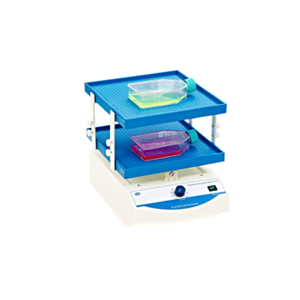 其林貝爾TS-8S(雙層)轉(zhuǎn)移脫色搖床搖床新款雙層實(shí)驗(yàn)室搖床振蕩器混勻儀振蕩混勻臺式小型